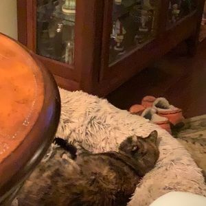 Meet your Posher, Janice